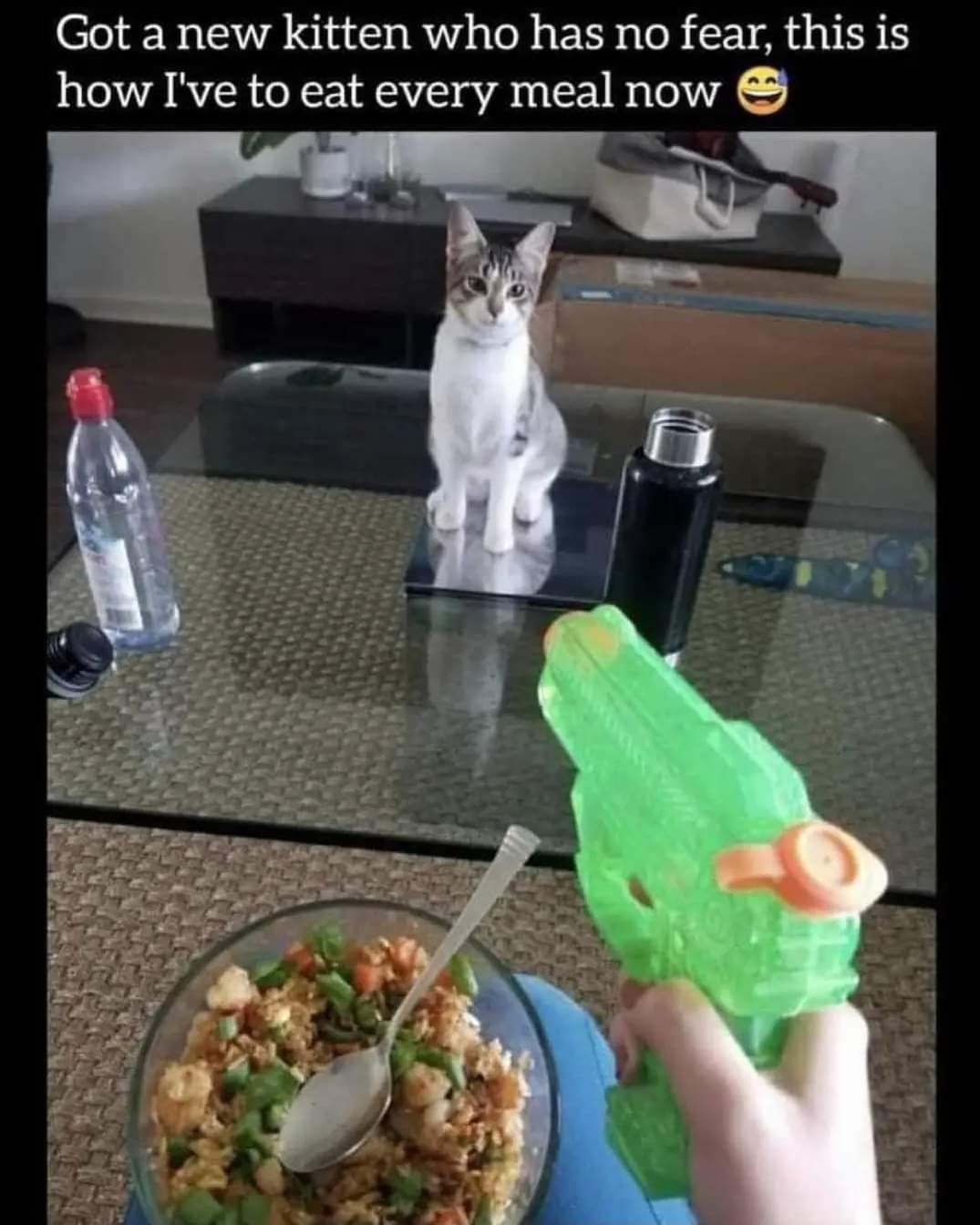 1000000479.jpg