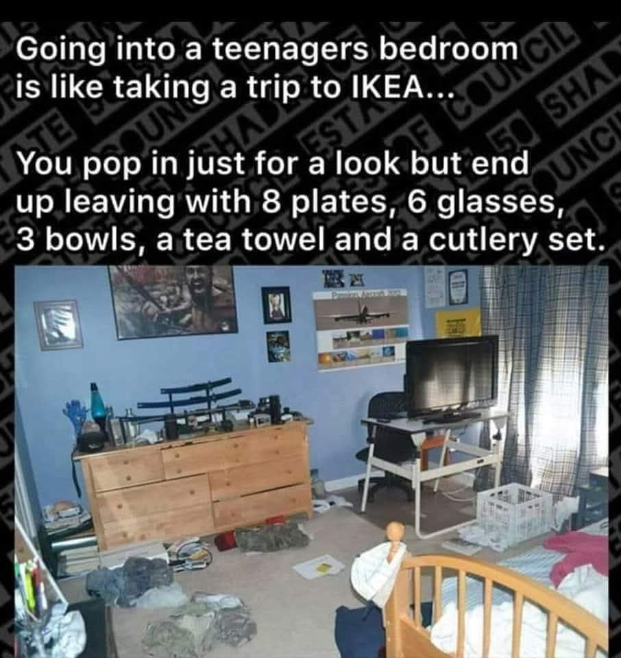 1000018171.jpg