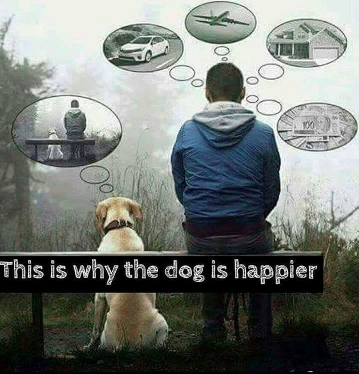 bafkreifh73bf2almbrtgflic74h5we2wgpupz7nbaft3vtrqu3d7ghpba4.jpg