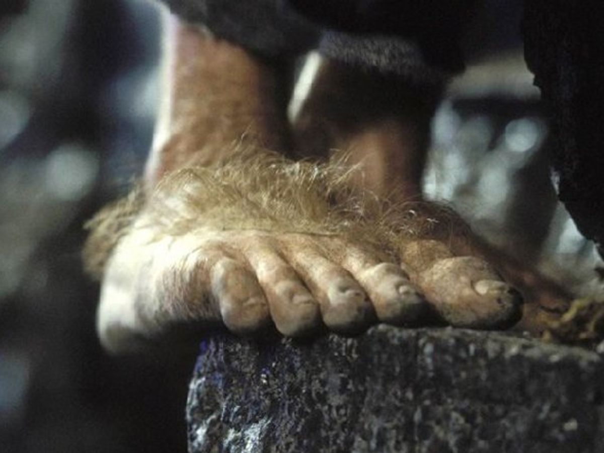 hobbit_feet_rect.jpg