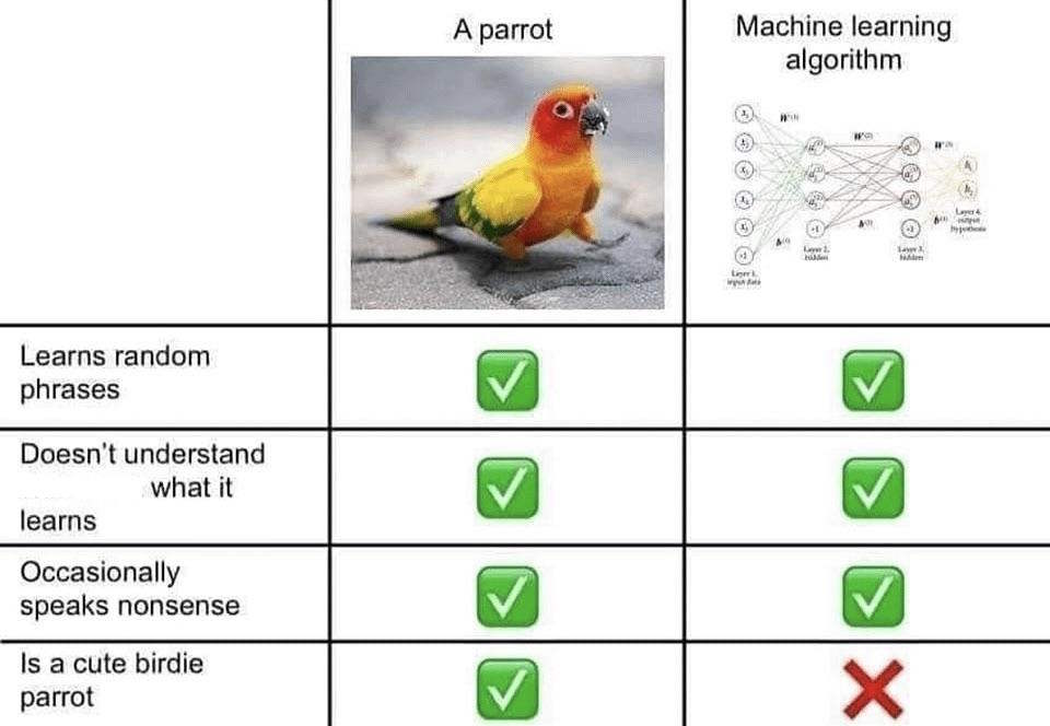 k - Copy.jpeg