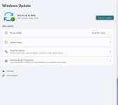 Windows Update.jpg